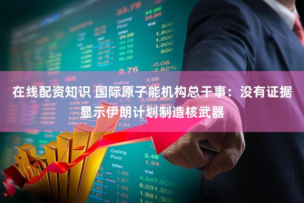 在线配资知识 国际原子能机构总干事：没有证据显示伊朗计划制造核武器