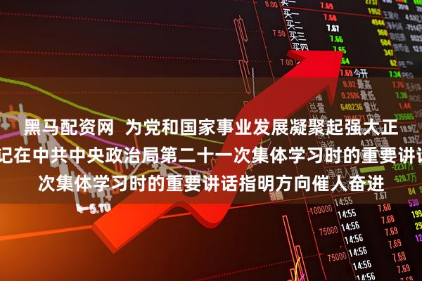 黑马配资网  为党和国家事业发展凝聚起强大正能量——习近平总书记在中共中央政治局第二十一次集体学习时的重要讲话指明方向催人奋进