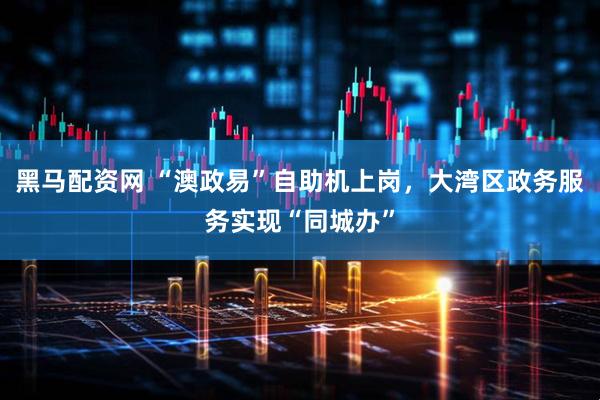 黑马配资网 “澳政易”自助机上岗，大湾区政务服务实现“同城办”